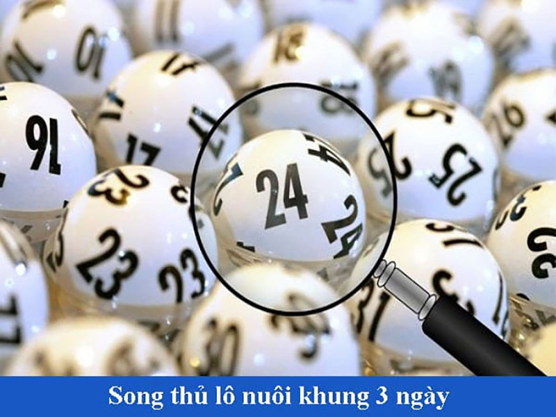 Cách bắt song thủ nuôi khung 3 ngày là gì ra sao? Là phải soi cầu và phân tích kết quả trước đó