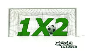 1×2 là gì