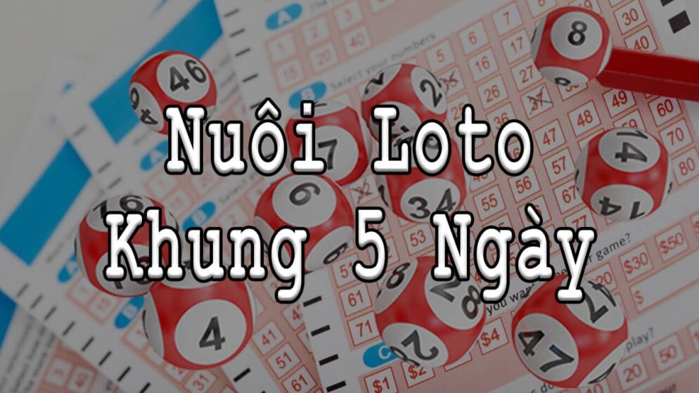 Nuôi lô khung 5 ngày – Bí kíp nuôi lô khung 5 ngày bách thắng