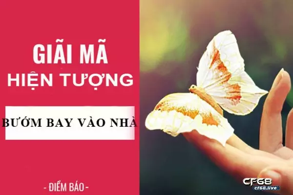 99 là con gì? có ý nghĩa như thế nào trong xổ số soi cầu