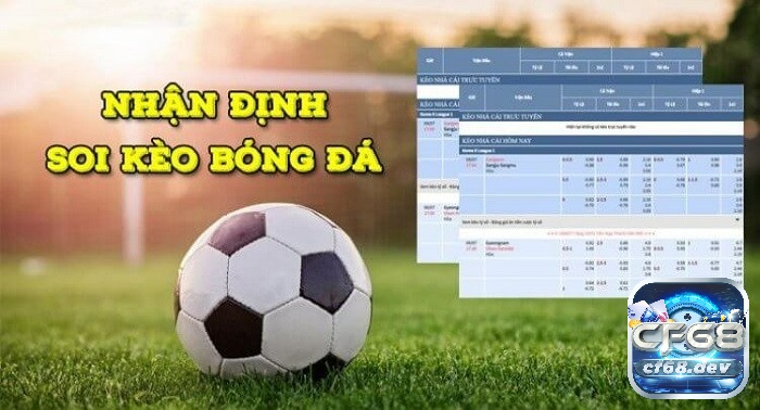 Tham khảo thông tin từ các nguồn uy tín trước khi chọn kèo