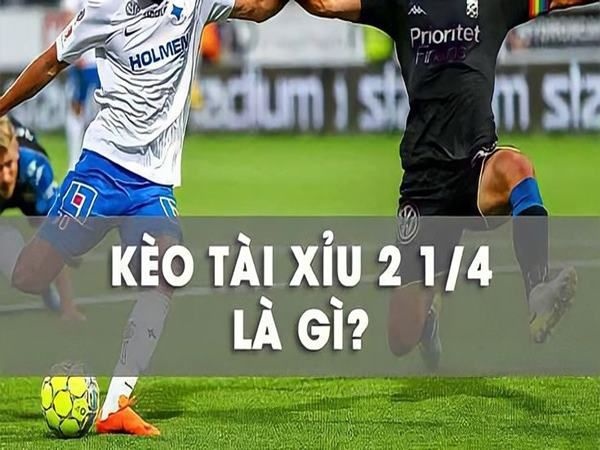 Tài xỉu 2 1 4 là gì? Khám phá chi tiết đọc kèo, chốt kèo hiệu quả