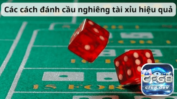 Cách đánh cầu nghiêng tài xỉu hiệu quả