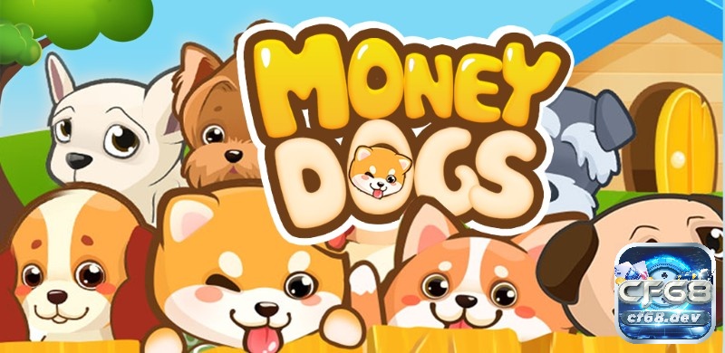 Game kiếm tiền trên điện thoại Money Dog